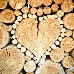 heart, wood, logs