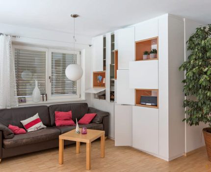 Designerschrank vom Tischler 1